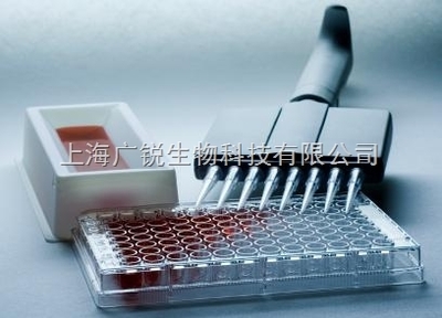 小鼠堿性成纖維細胞生長因子4(bFGF-4)進口ELISA試劑盒 精準檢測的專業之選