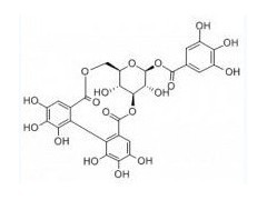 探索柯里拉京（23094-69-1） 傳統中草藥提取物的現代生物化工價值